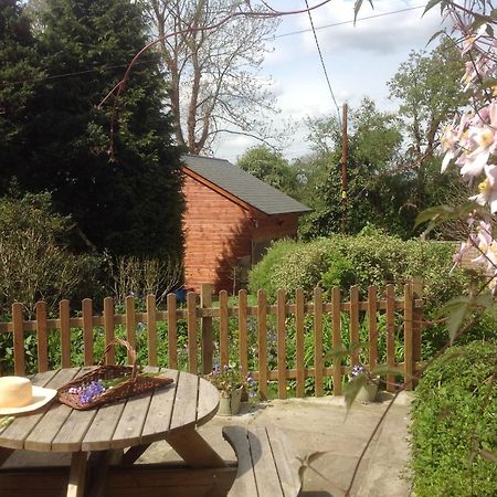 Beck Cottage, Wood Green, New Forest Uk Breamore エクステリア 写真